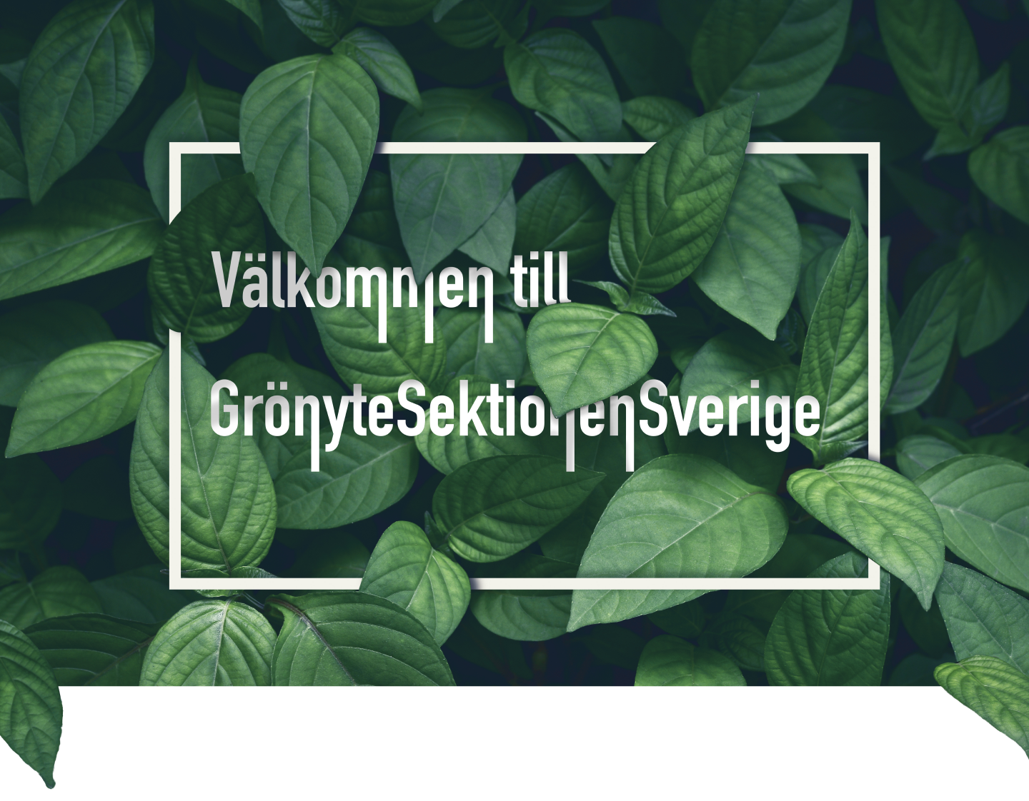 Välkommen till GSS - Grönsytesektionen i Sverige